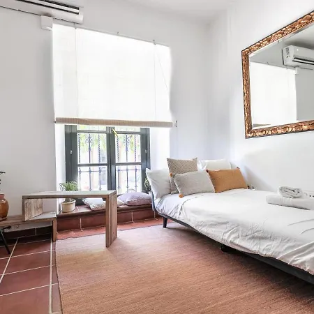 Apartment Castilla 88